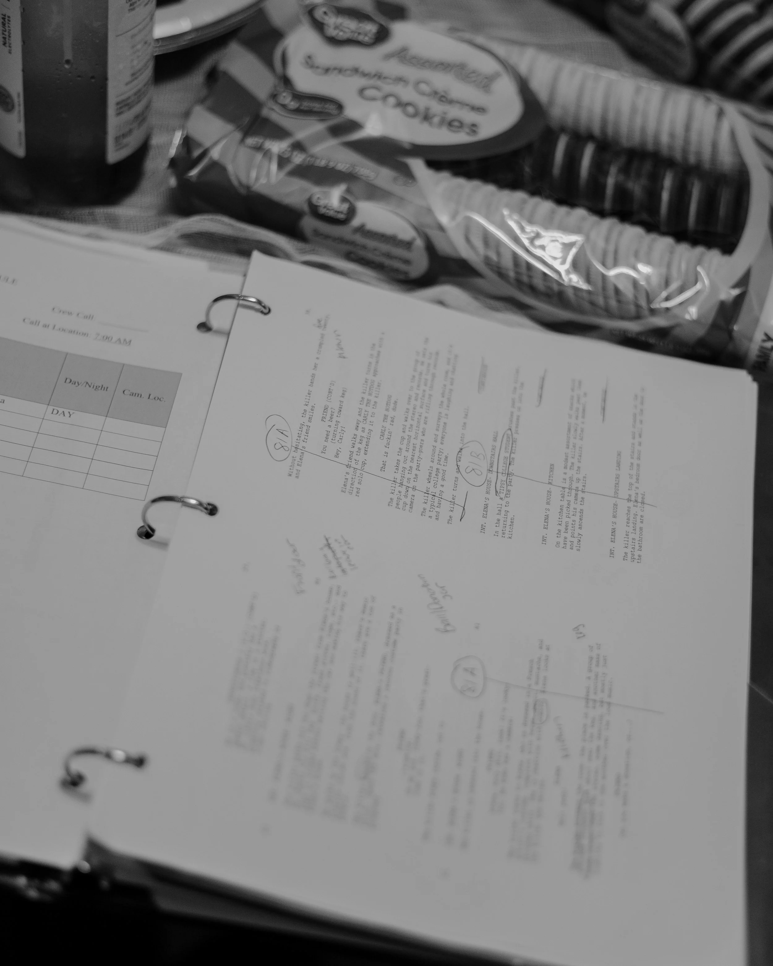 Looky Loo 2_Julies House-7.JPG