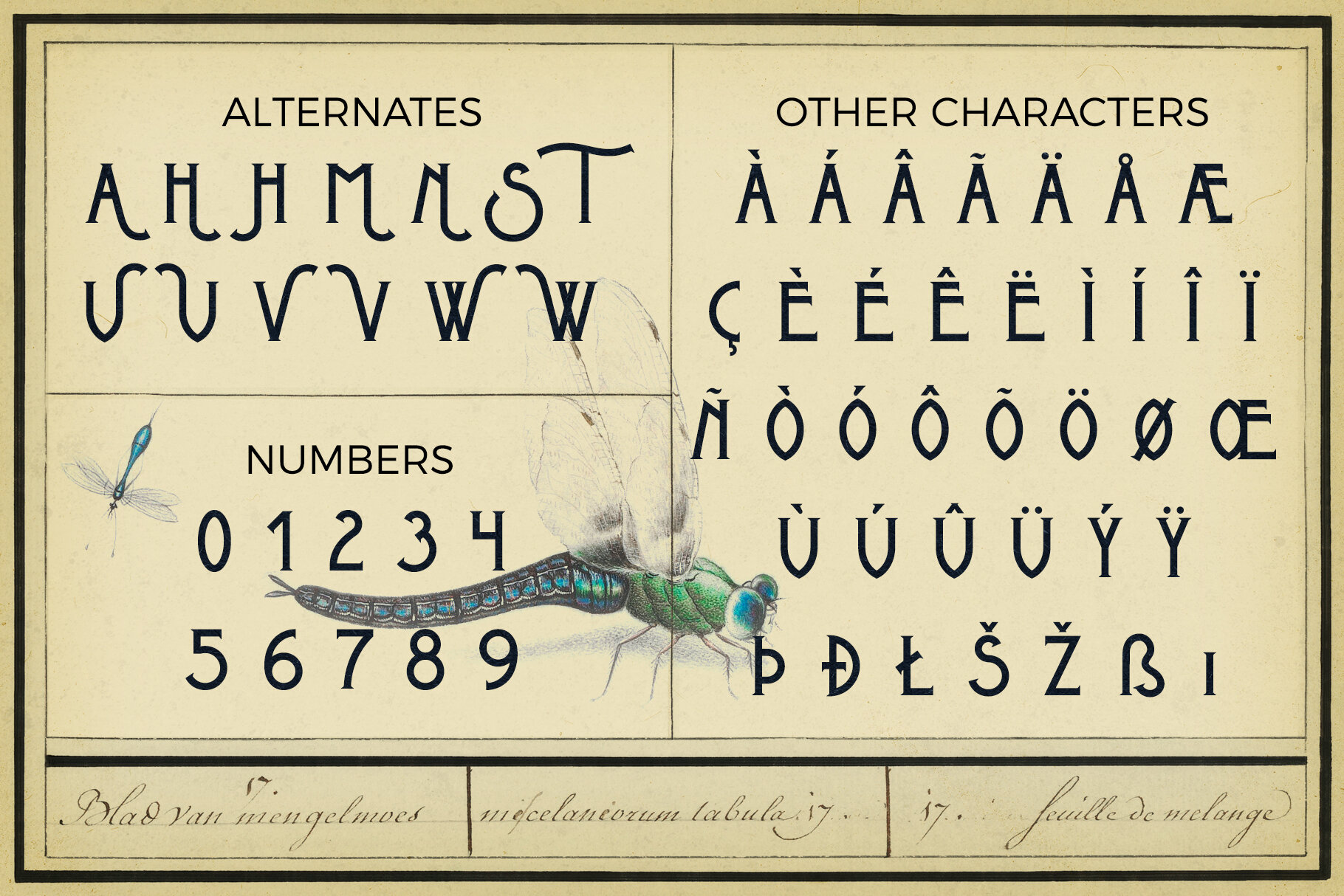 Metrobrew Vintage Font - 4 - preview V6.jpg