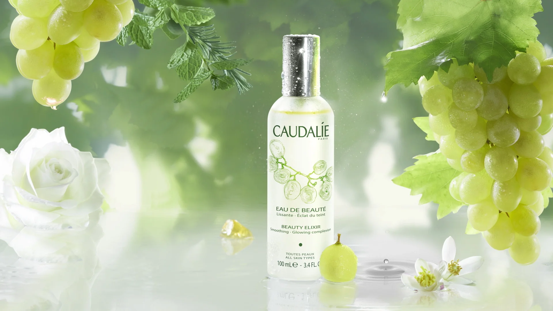 A Treasure Trove in Hiding; The Beauty Elixir