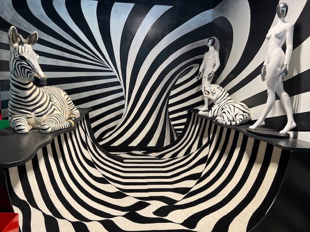 pic illusion zebra.jpg