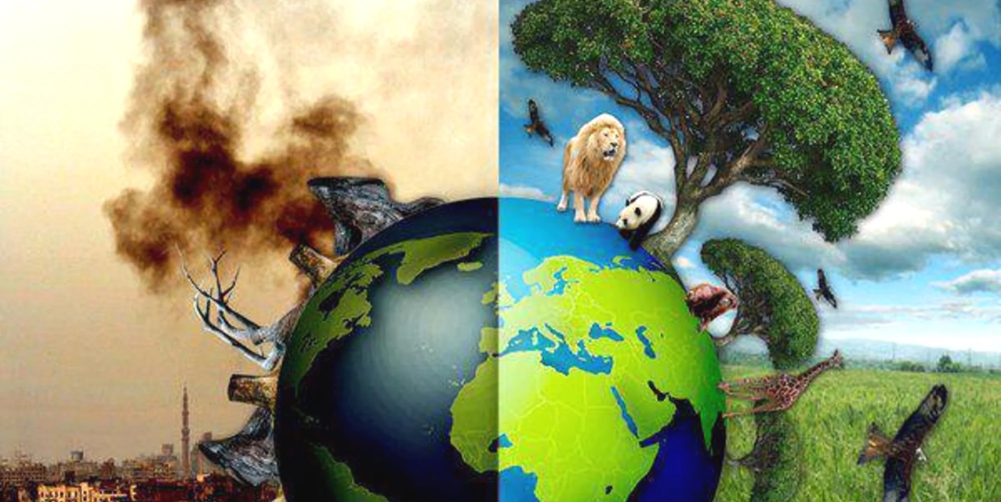 ecocide.jpg
