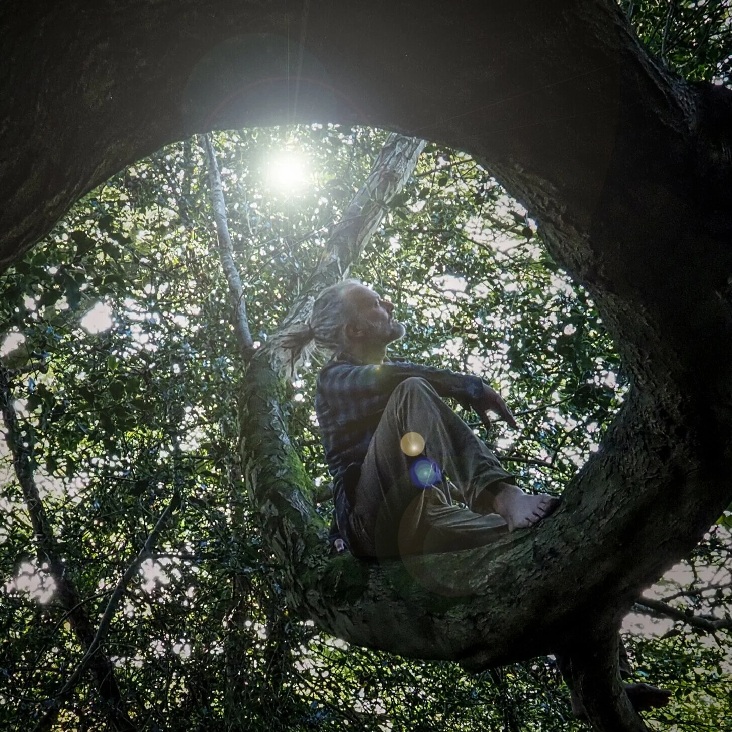 Andy Squiff Head of Design