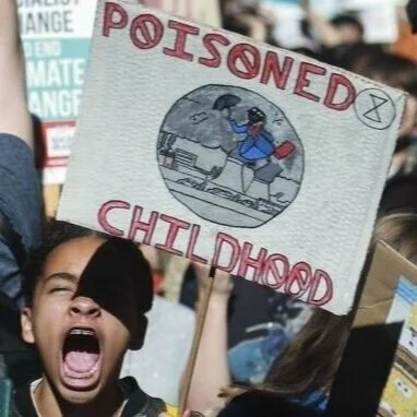 Ecocide Should Be Recognized as a Crime Against Humanity, but We Can’t Wait for The Hague to Judge