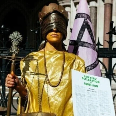 Lawyers Rebel Against 'Abject Failure' of Legal System to Prevent Climate Crisis - Isabella Kaminski