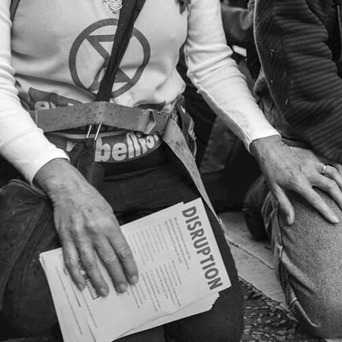 What would the world look like if ecocide was law? 