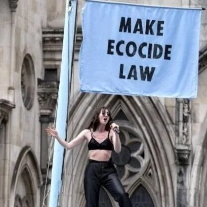 “Ecocide as an atrocity crime - an idea whose time is long overdue” 