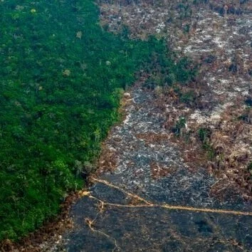 “Politicians And CEOs Could Face Criminal Charges For Environmental Destruction. It's called "ecocide" and even the pope is talking about it. - Gloria Dickie