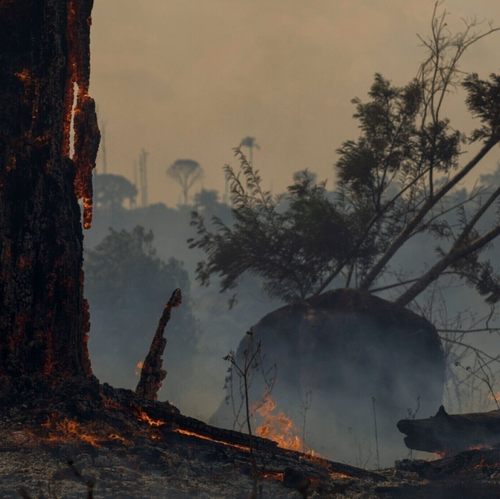 “Could ecocide become an international crime?” - Ben Cooke