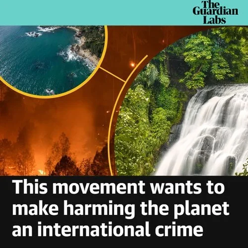 The Guardian publishes a timely feature on the Stop Ecocide campaign