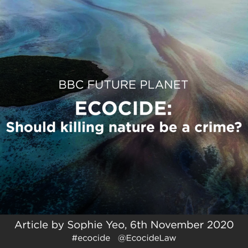 Co-founder Jojo Mehta is interviewed by Sophie Yeo