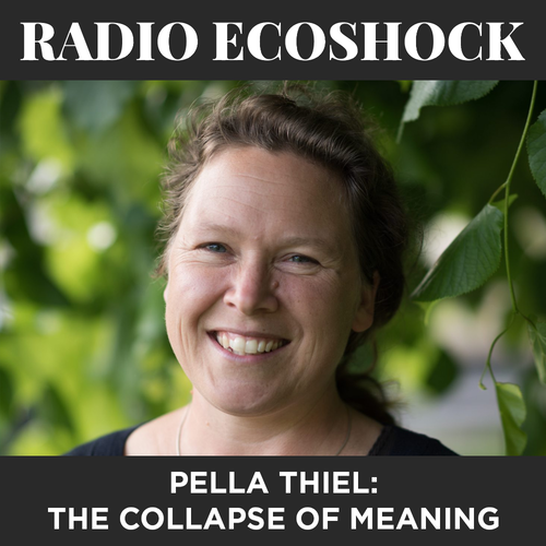 Interview with Pella Thiel - “The Collapse of Meaning”.
