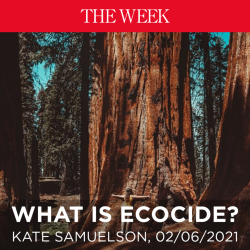      

 
   Campaigners call for environmental destruction to be viewed as legally akin to war crimes, genocide and crimes against humanity.  By Kate Samuelson in   The Week   02/06/2021 
 




















  
  



     