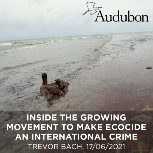      

 
   Lawyers will take a major step this month toward putting environmental destruction on the same level as war crimes and genocide.  By Trevor Bach in   Audubon  , 17/06/2021 
 




















  
  



     