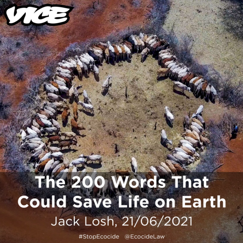     

 
   Powerful individuals behind the most devastating assaults on the environment could be put in the dock under a new legal definition of “ecocide” that a heavyweight panel of international lawyers and hardened campaigners hope will revolutio