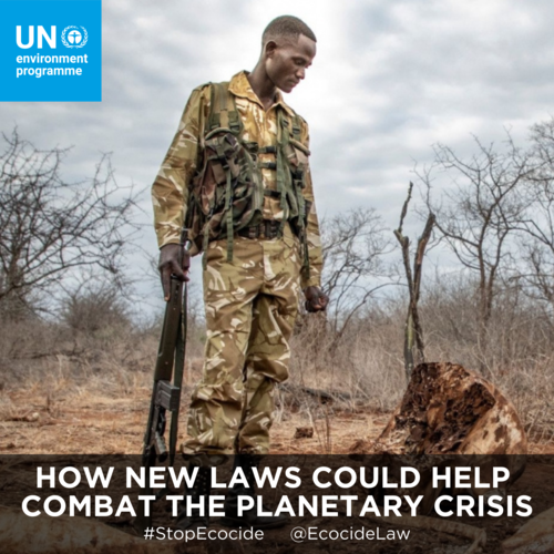      

 
   This week, legal experts defined and put forward a new proposed category of international crime - ‘ecocide.’ If taken up by Parties to the International Criminal Court (ICC), it would become the fifth category of offences to be prosecuted