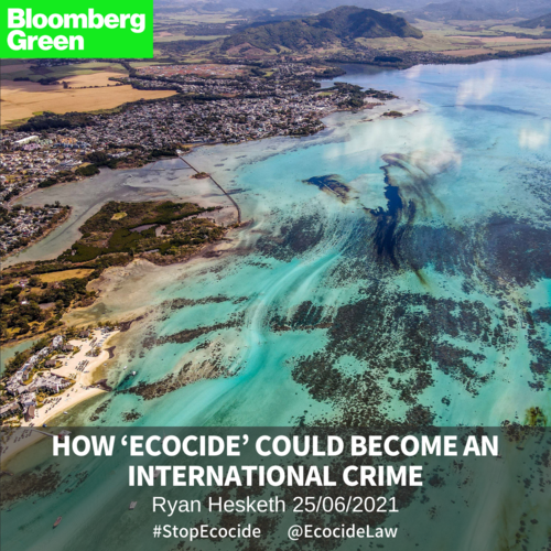      

 
   From oil spills to open-pit mining, clear-cut logging to heavy-net trawling, humans continue to scar the planet despite mountains of legislation, regulation and good intent.  by Ryan Hesketh for     Bloomberg Green  , 25/06/2021 
 






