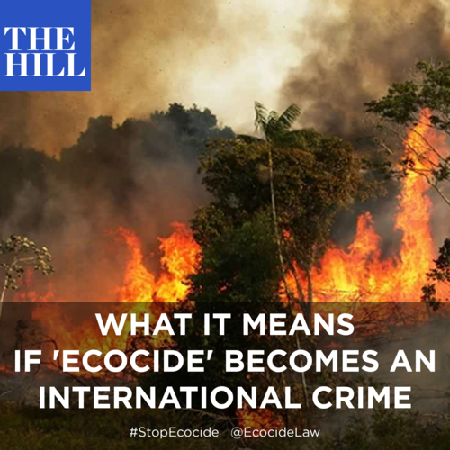      

 
   “… perhaps the most powerful effect of defining and criminalizing ecocide as an international crime may be that of beginning to shift cultural and moral assumptions. Our understanding of our place in, and responsibility towards, the natur
