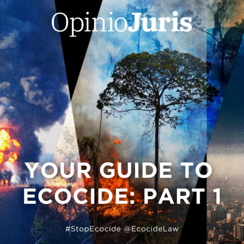      

 
   For over a year, I have been involved in research and discussions on the fascinatingly difficult issues in defining ecocide, as part of a  UCLA Promise Institute project .  By Darryl Robinson for  OpinioJuris , 16/07/2021 
 













