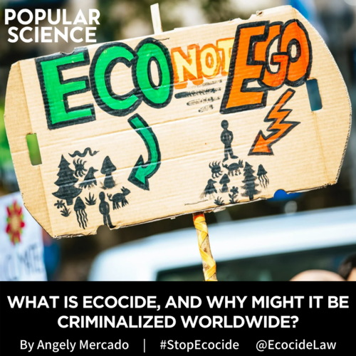      

 
   Intentionally harming the planet could be discussed in the same international court that tries war crimes.  by Angely Mercado for   Popular Science  , 31/07/2021 
 




















  
  



     