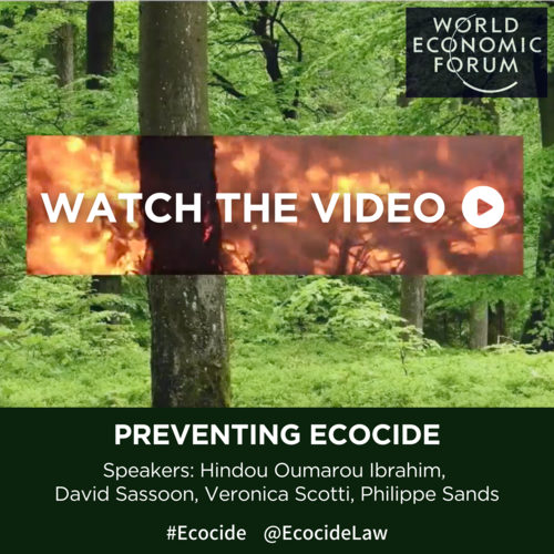      

 
   With legal and environmental experts pushing to criminalize the destruction of the environment, “ecocide” could have major consequences for both government and business. How could a new legal definition transform climate action?  Video by