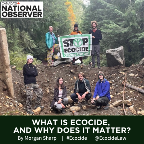      

 
   The folks behind the push to make ecocide a crime say a global law would create real consequences for those who cause severe environmental harm, and this young Canadian is making their case ahead of the COP26 global climate conference nex