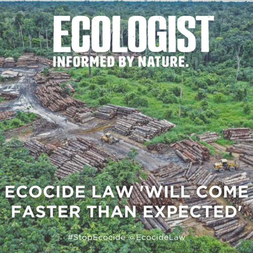      

 
   Support for the idea of recognising ecocide as a serious crime is growing faster than expected - and from some unexpected quarters.  By Catherine Early   for  Ecologist , 11/11/2021 
 




















  
  



     