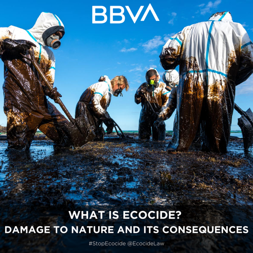      

 
   The number of crimes against the environment in the last 40 years is overwhelming and the consequences for humanity are devastating. Until now, these cases end up in civil justice, and convictions only result in fines.  By  BBVA , 03/2022