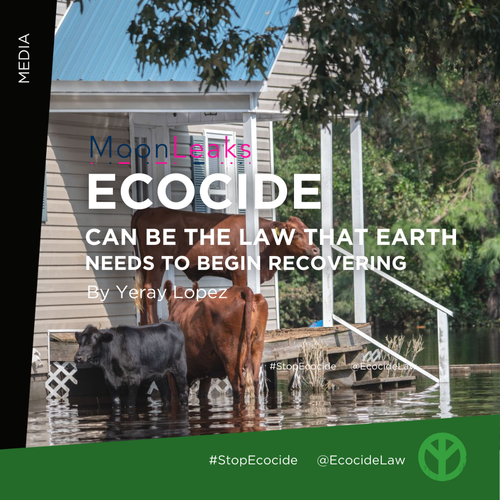      

 
   “We talked with Jojo Mehta about Ecocide, a law that will forever change the relationship and accountability people, corporations, and governments have with planet Earth.”  By Yeray Lopez for  MoonLeaks , 05/05/2022 
 



















