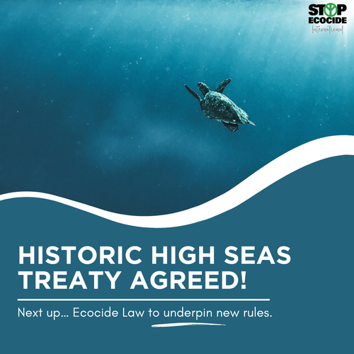      

 
   …after days of gruelling round-the-clock talks, UN member states finally agreed on a treaty to protect the high seas.  A full day after the deadline for talks had officially passed, the conference president, Rena Lee of Singapore, took to