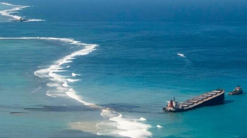      

 
   Un panel de juristas definirá el 'Ecocidio' como un crimen internacional. La iniciativa co-existiría con los Crímenes de Guerra, el Genocidio y los Crímenes Contra la Humanidad. 19/11/2020 
 




















  
  



     