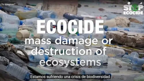      

 
   Reconocidos juristas internacionales redactarán la definición de 'ecocidio'. 18/11/2020 
 




















  
  



     