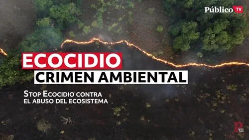      

 
   Se puede considerar el ecocidio como un crimen contra la humanidad? Desde Stop Ecocidio España preparan un plan para que así sea. 14/12/2020 
 




















  
  



     