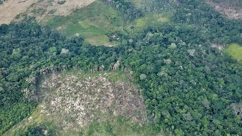      

 
   El objetivo es que se cree un delito que sirva para penalizar la destrucción a gran escala de los ecosistemas, con la idea de que gobiernos y empresas respondan por el daño que de manera reiterada se le causa al planeta. 16/12/2020 
 



