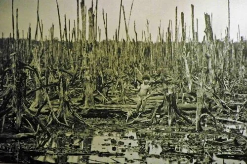      

 
   ¿Qué es el ecocidio? El genocidio medioambiental que piden que sea reconocido al nivel de los Crímenes de Guerra o Contra la Humanidad. 17/02/2021 
 




















  
  



     