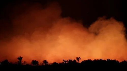      

 
   ‘Ecocidio’, un nuevo delito para proteger al planeta de la humanidad. Un panel de 12 expertos prepara un borrador para introducir este crimen en el Estatuto de la Corte Penal Internacional. 21/03/2021 
 




















  
  



     