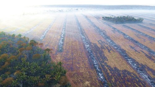      

 
   Doce abogados trabajan para que los criminales del planeta sean procesados por ecocidio ante la Corte Penal Internacional. 31/08/2021 
 




















  
  



     