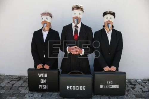      

 
   Vestidos con traje, los ojos vendados y un pescado muerto en la boca, activistas reclamaron hoy a las puertas de la II Conferencia de los Océanos de la ONU, en Lisboa, que el mundo pare ante la emergencia climática como lo hizo con la pan