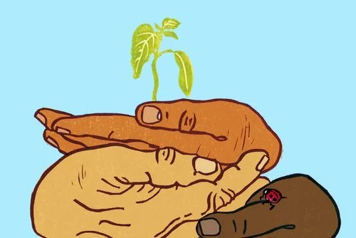      

 
   La propuesta de un cambio de paradigma para encontrar otra forma de convivir con la naturaleza es más necesaria que nunca si queremos sobrevivir como especie. El derecho sólo es un instrumento que nos puede acompañar en la transición haci