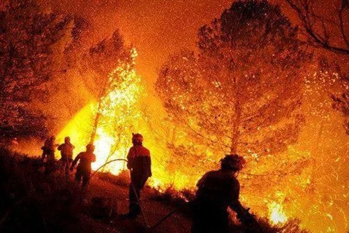      

 
   La Asociación de Investigadores de Derecho Penal Ambiental y Climático (AIDPAC), propone incorporar el delito de ecocidio al Código Penal de la Nación con penas de hasta 20 años de prisión para las personas físicas y de suspensión de acti