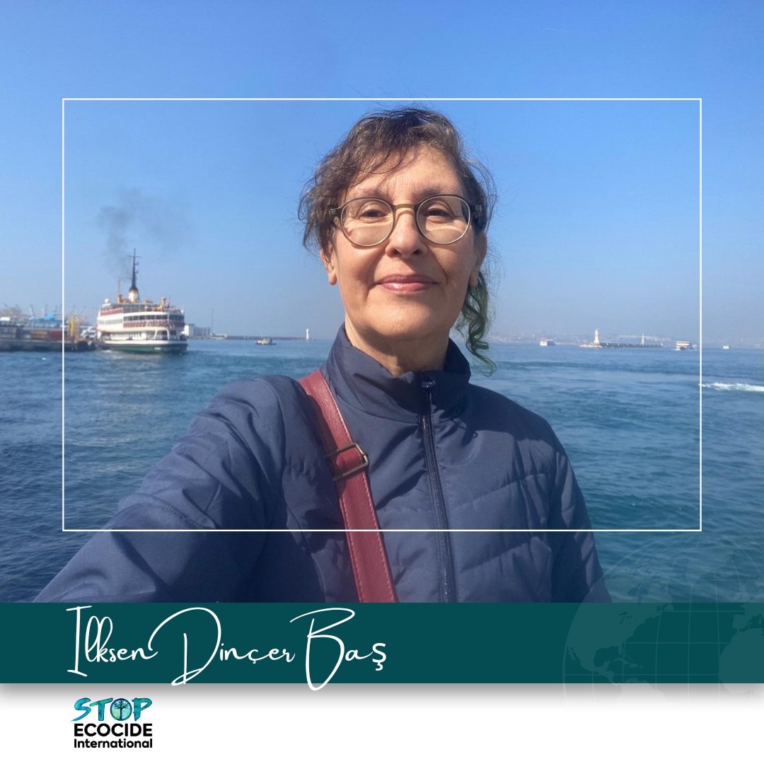 Advancing Ecocide Law in Türkiye: Responding to Environmental Catastrophe