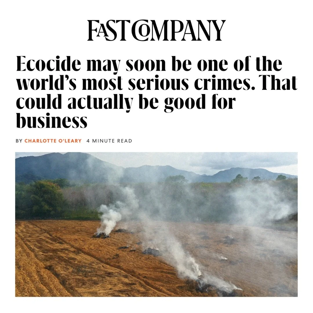 Ecocide may soon be one of the world’s most serious crimes. That could actually be good for business.
