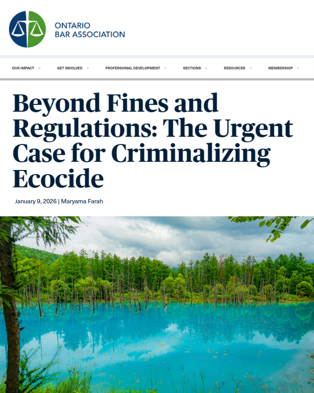 Beyond Fines and Regulations: The urgent case for criminalising ecocide