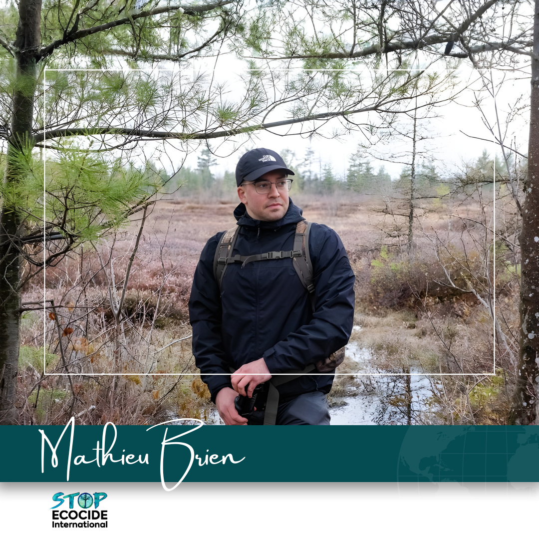 Threats to Québec peatland show why ecocide law is long overdue