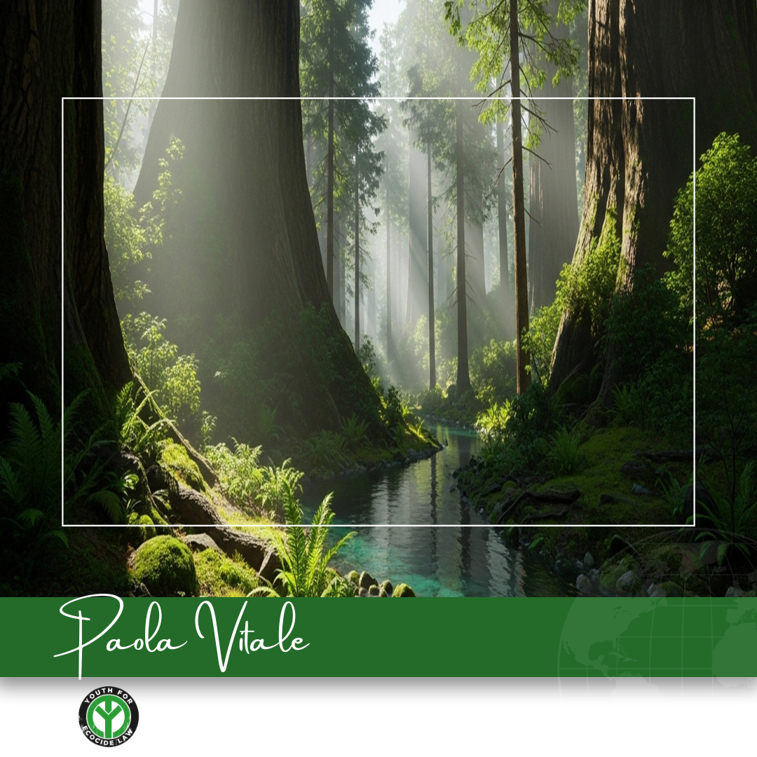 De bestaande internationale milieuwetgeving volstaat niet. Wetgeving inzake ecocide vormt een belangrijk onderdeel van de puzzel. 