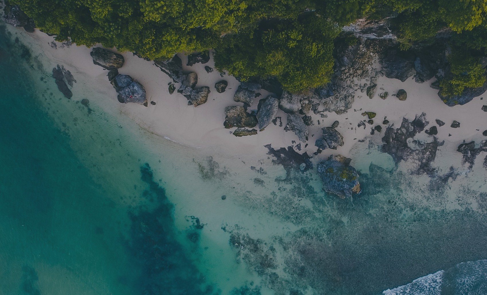 faith for ecocide law banner image