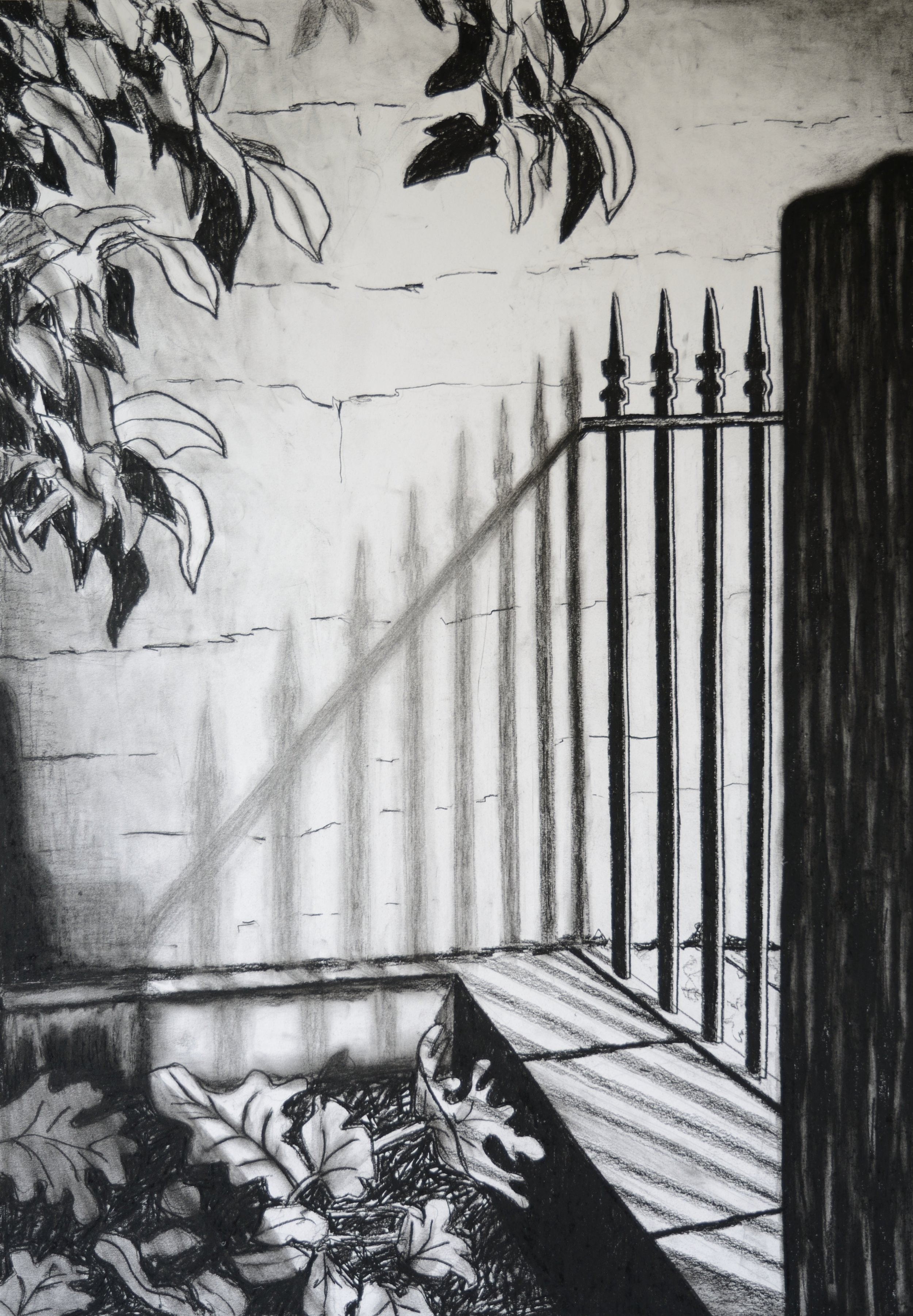 The Fence, 100x70cm, conte on paper