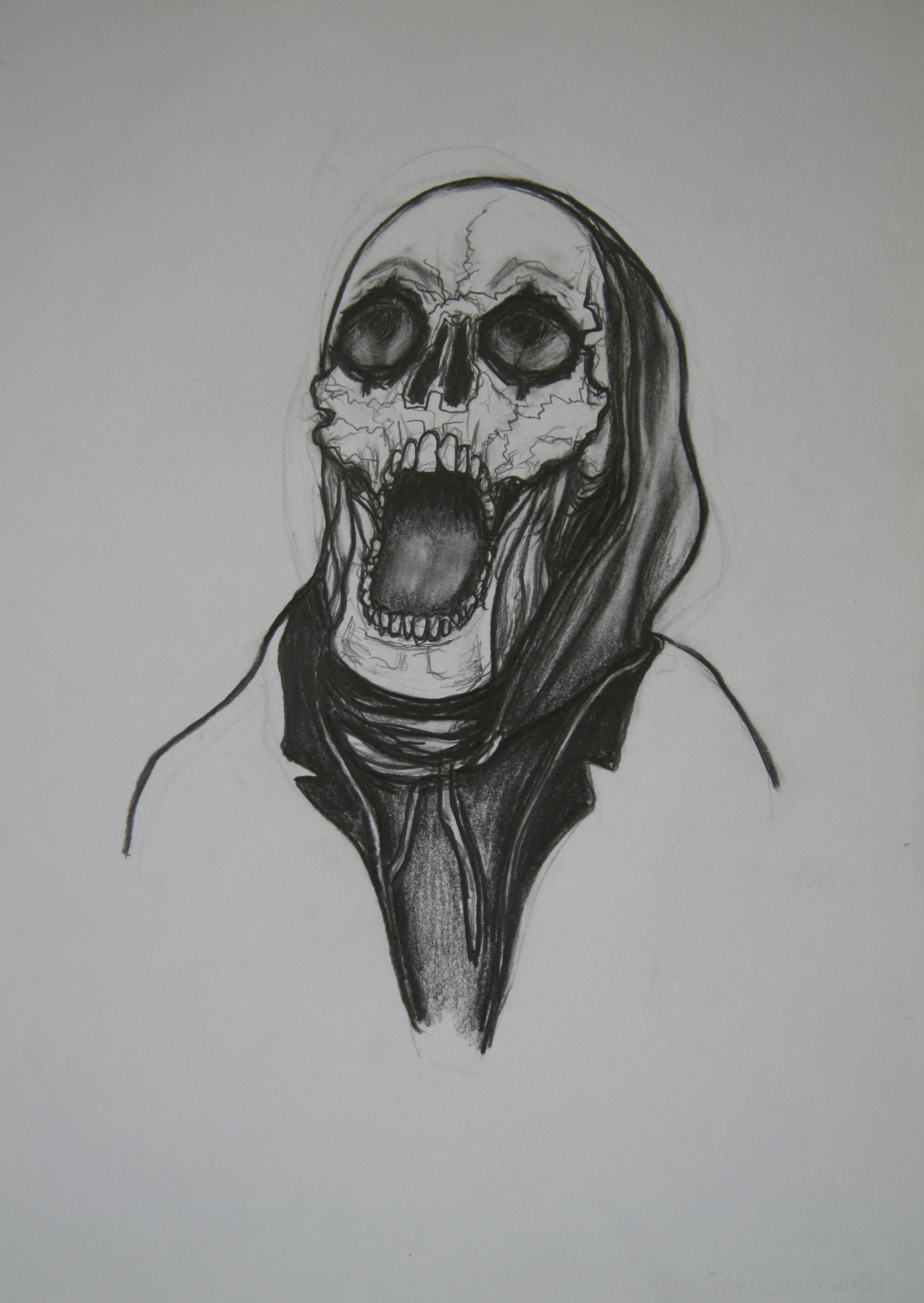 Skull 4, 30x21cm, pencil on paper