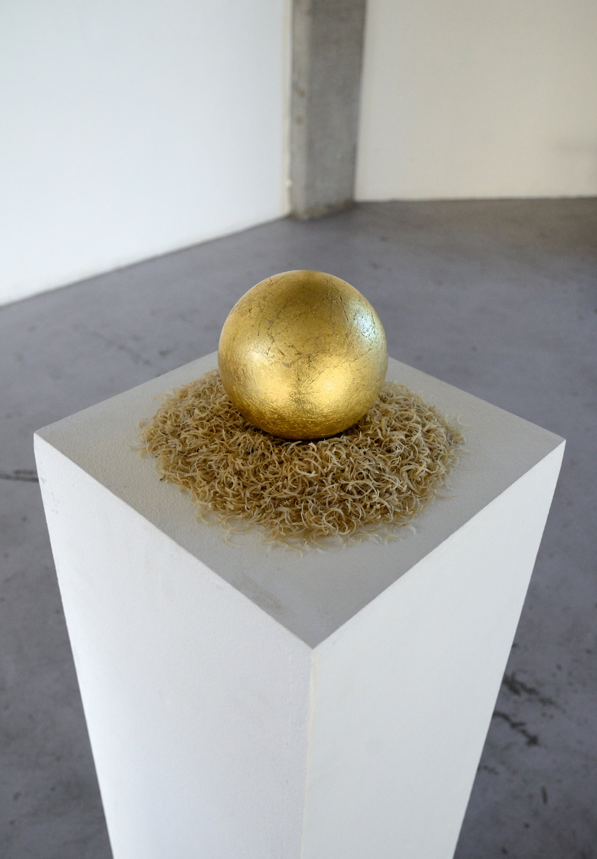 A Symbol for the Mind, a gilded sphere on a bed of clipped fingernails, ca. 25x25cm