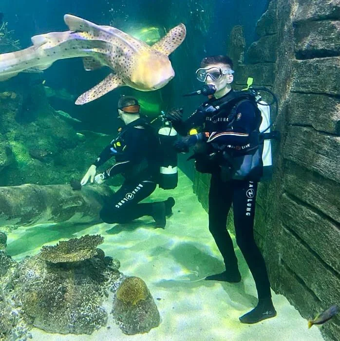 WhatsApp Image 2020-03-23 at 21.05.42 (8).jpeg