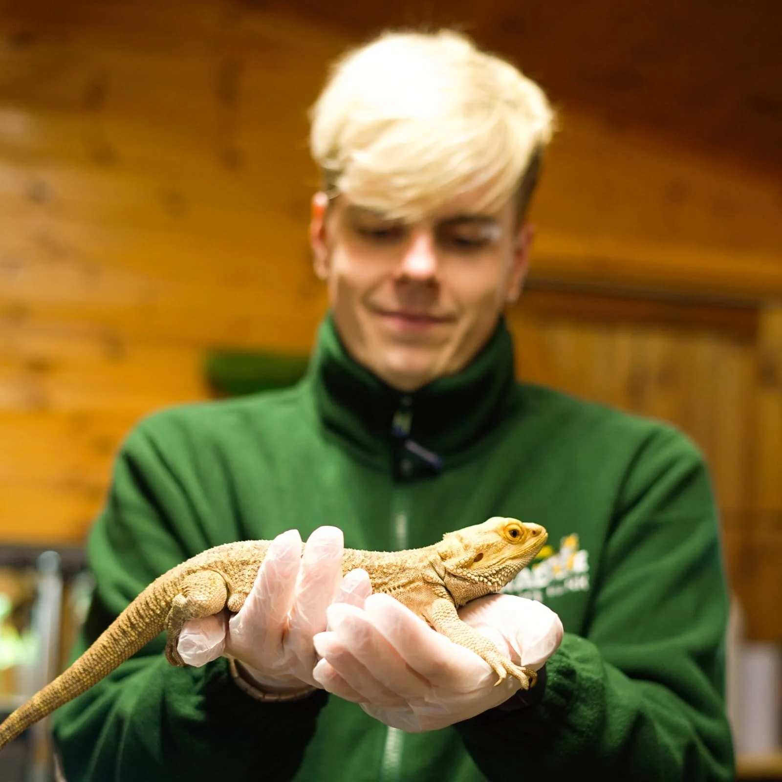 WhatsApp Image 2020-03-23 at 21.05.42.jpeg